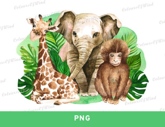 Download Jungle Animals in Tropical Leaves PNG - Tropical Collection