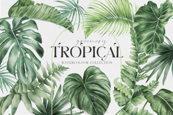 Download Tropical Greenery Jungle Rainforest PNG - Tropical Collection