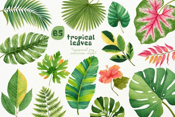Download Watercolor Tropical Leaves PNG Clipart - Tropical Collection
