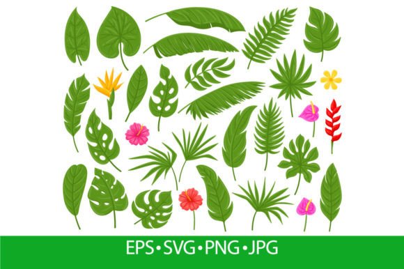 Download Cartoon Tropical Palm, Monstera, Plumeri - Tropical Collection