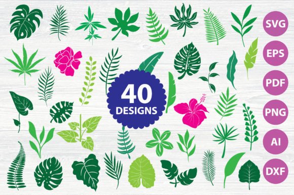 Download Monstera | Greenery | Tropical | Leaves - Tropical Collection